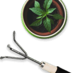potted-plant-and-gardening-tool-1-205x300.png